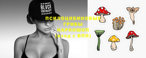 Альфа ПВП Магадан