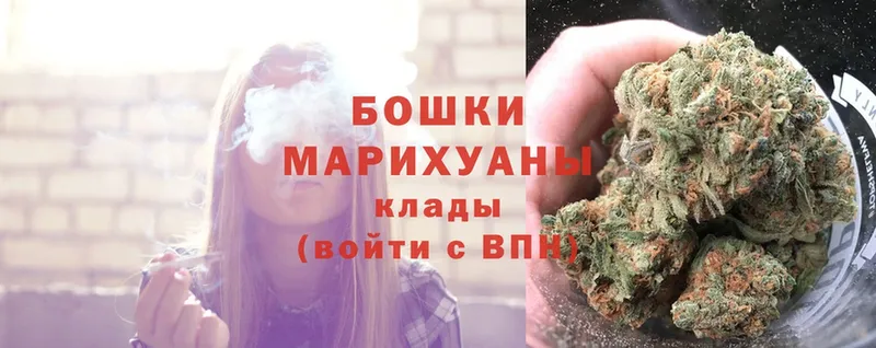 Канабис Bruce Banner  Афипский 